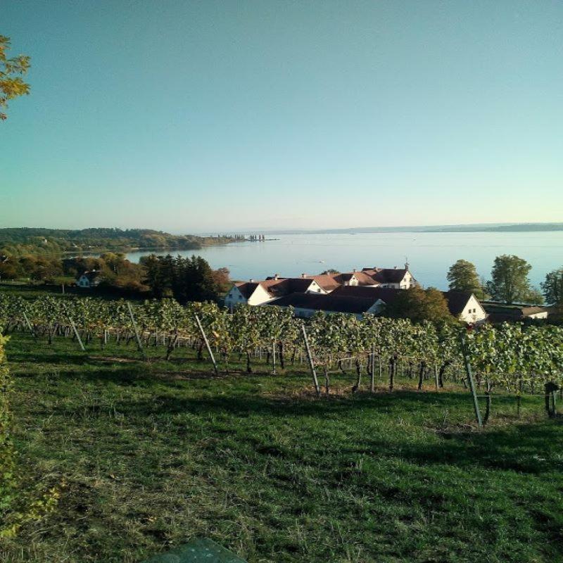 Ferienwohnung Am Bodensee Uhldingen-Muehlhofen Exterior photo